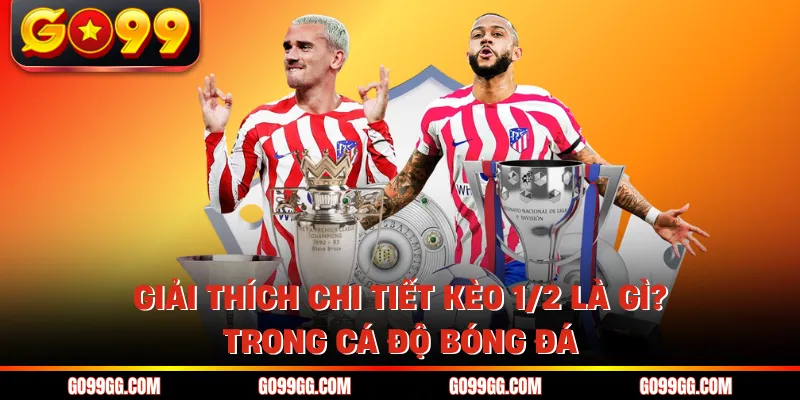 Kèo 1/2 Là Gì? - Cách Tính Tiền Cược Chấp Nửa Trái Tại Go99 2 Giải thích chi tiết kèo 1/2 là gì? trong cá độ bóng đá